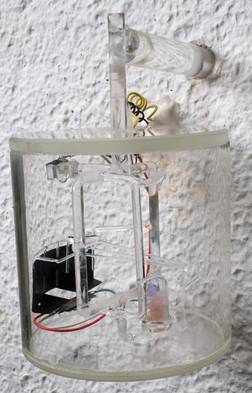 Pendule de Blum